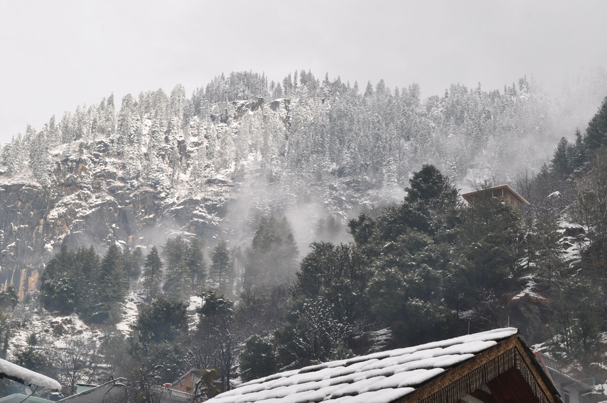 Manali kullu