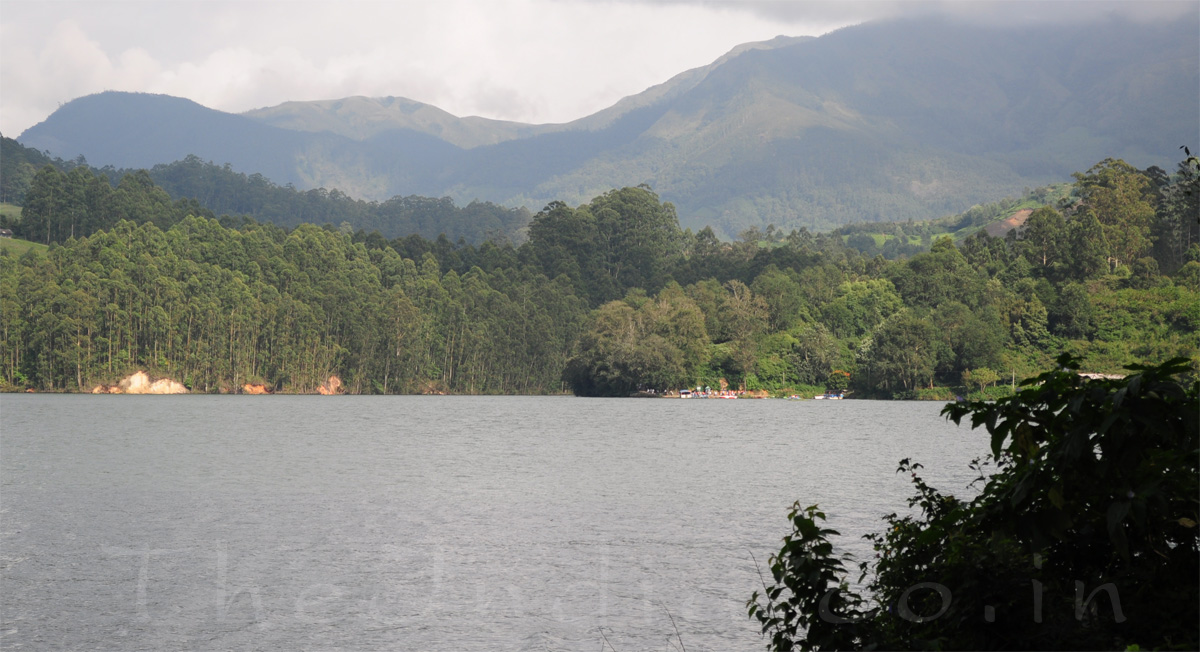 Mattupetty Dam Munnar