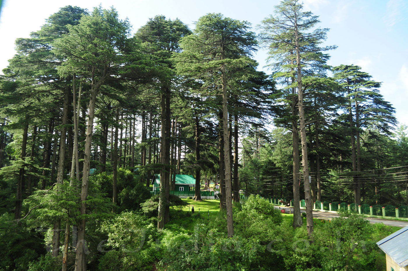 Patnitop Udhampur