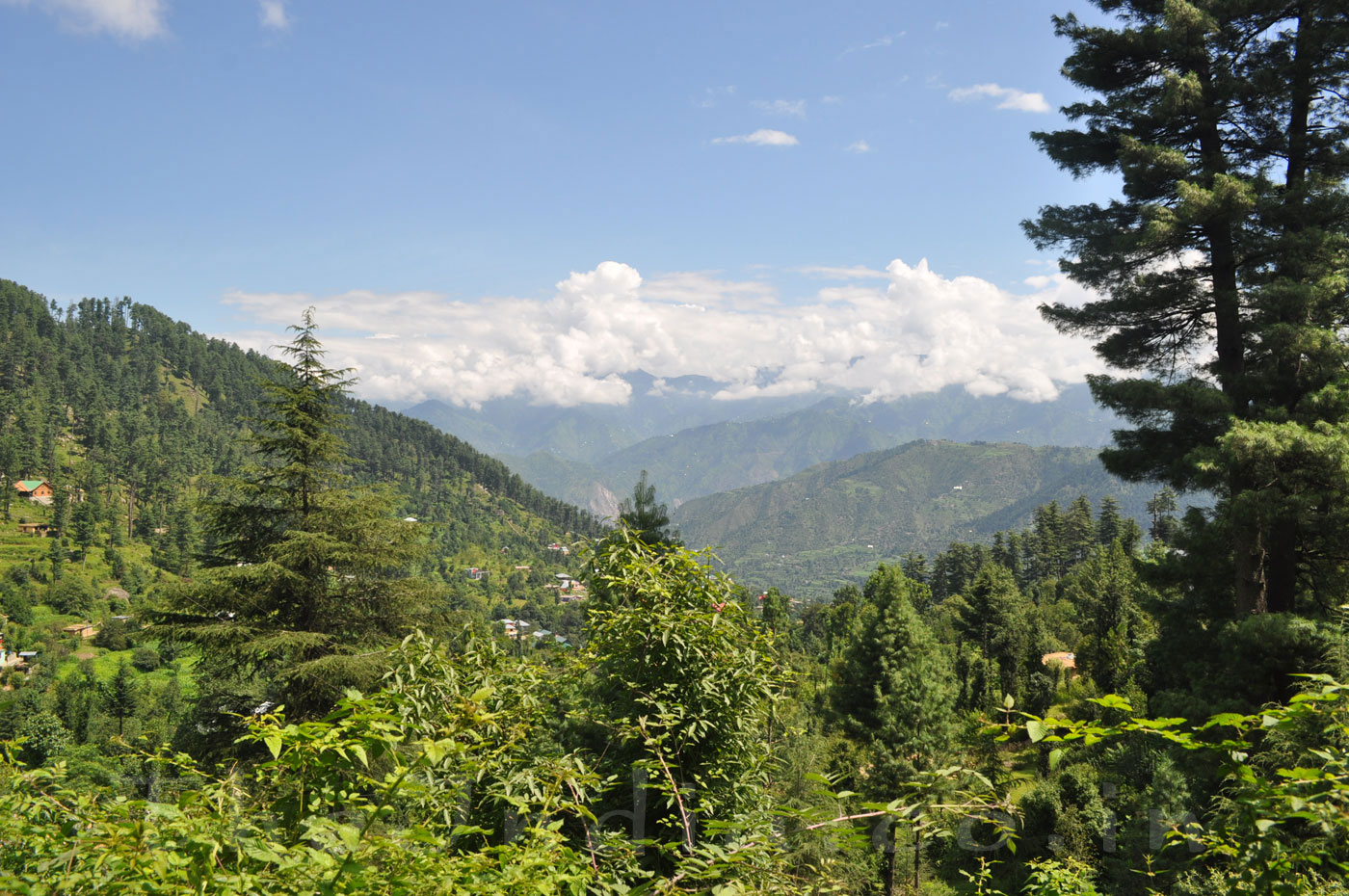 Patnitop Udhampur