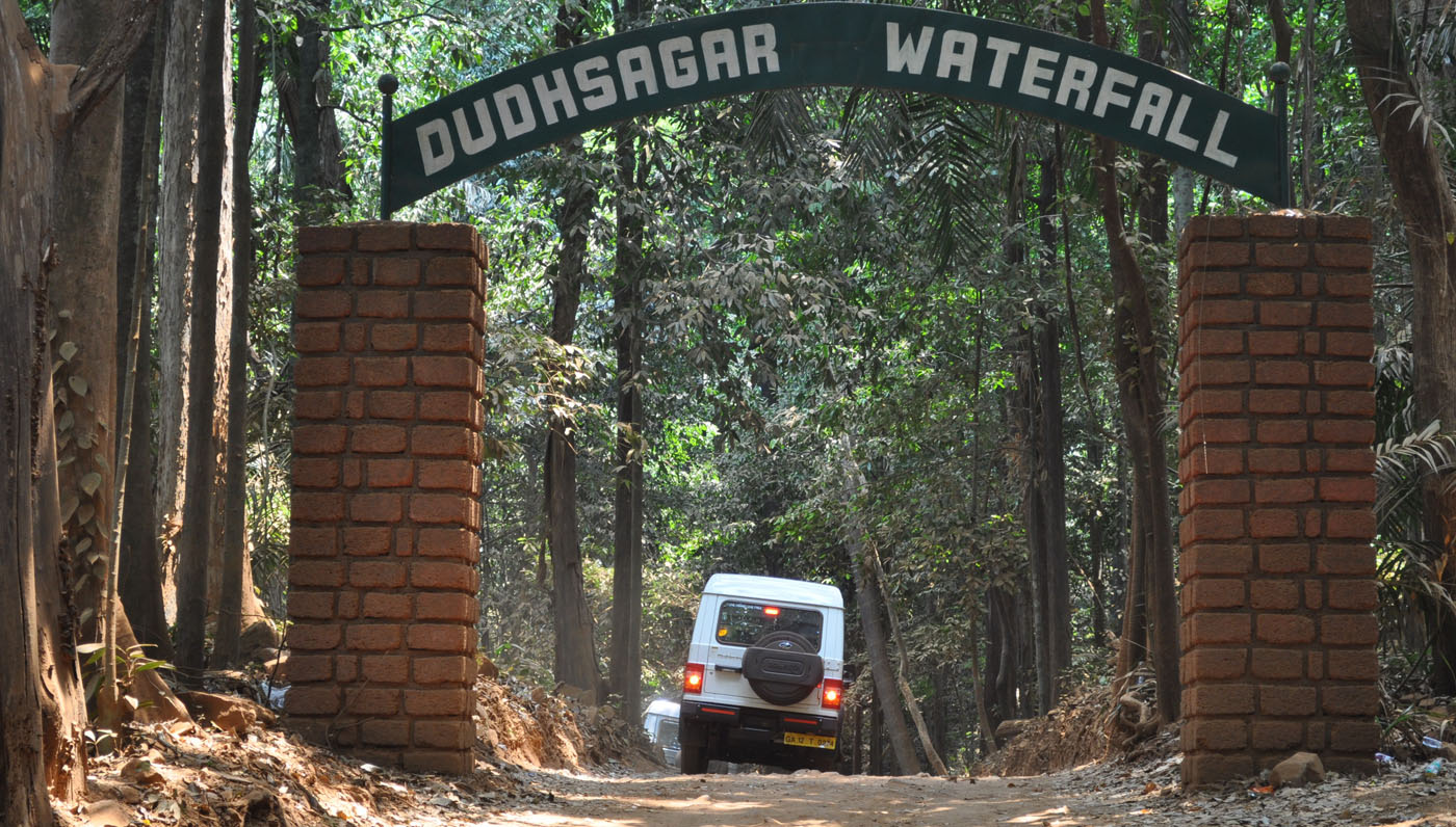 Dudhsagar Waterfall Panjim