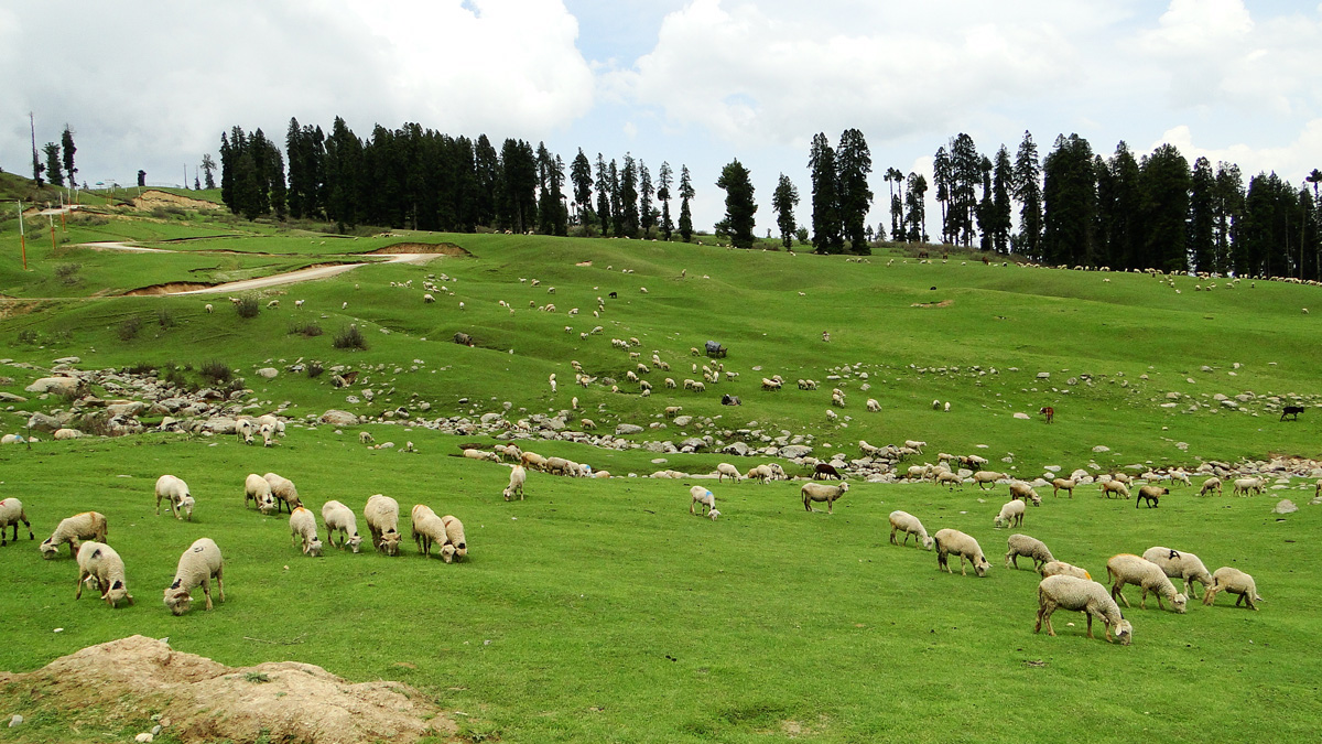 Doodhpathri (Khansahib) Budgam