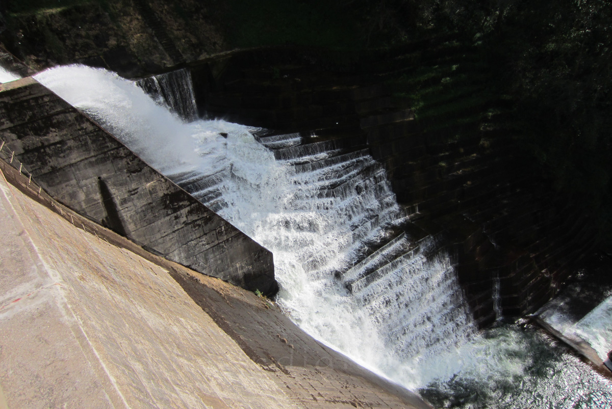 Mattupetty Dam Munnar