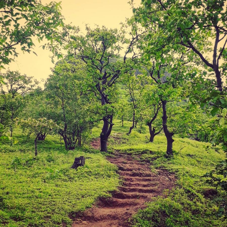 Sondai Fort Pune