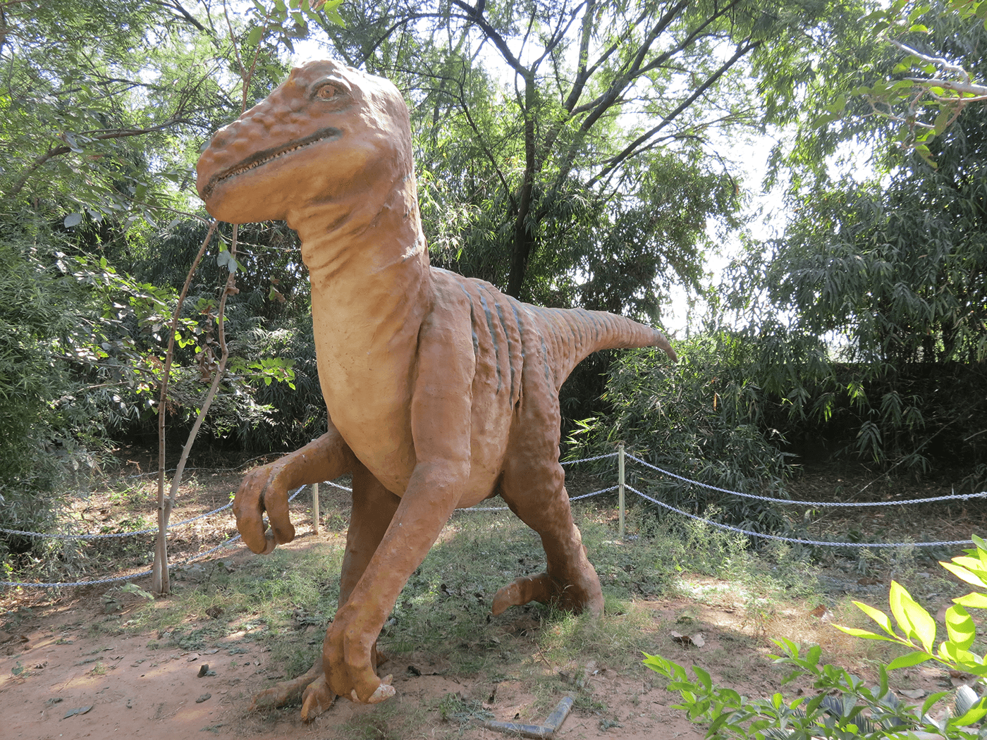 Indroda Nature Park Ahmedabad