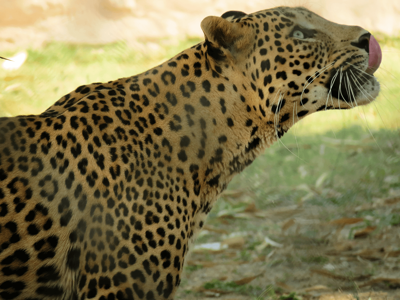 Indroda Nature Park Ahmedabad