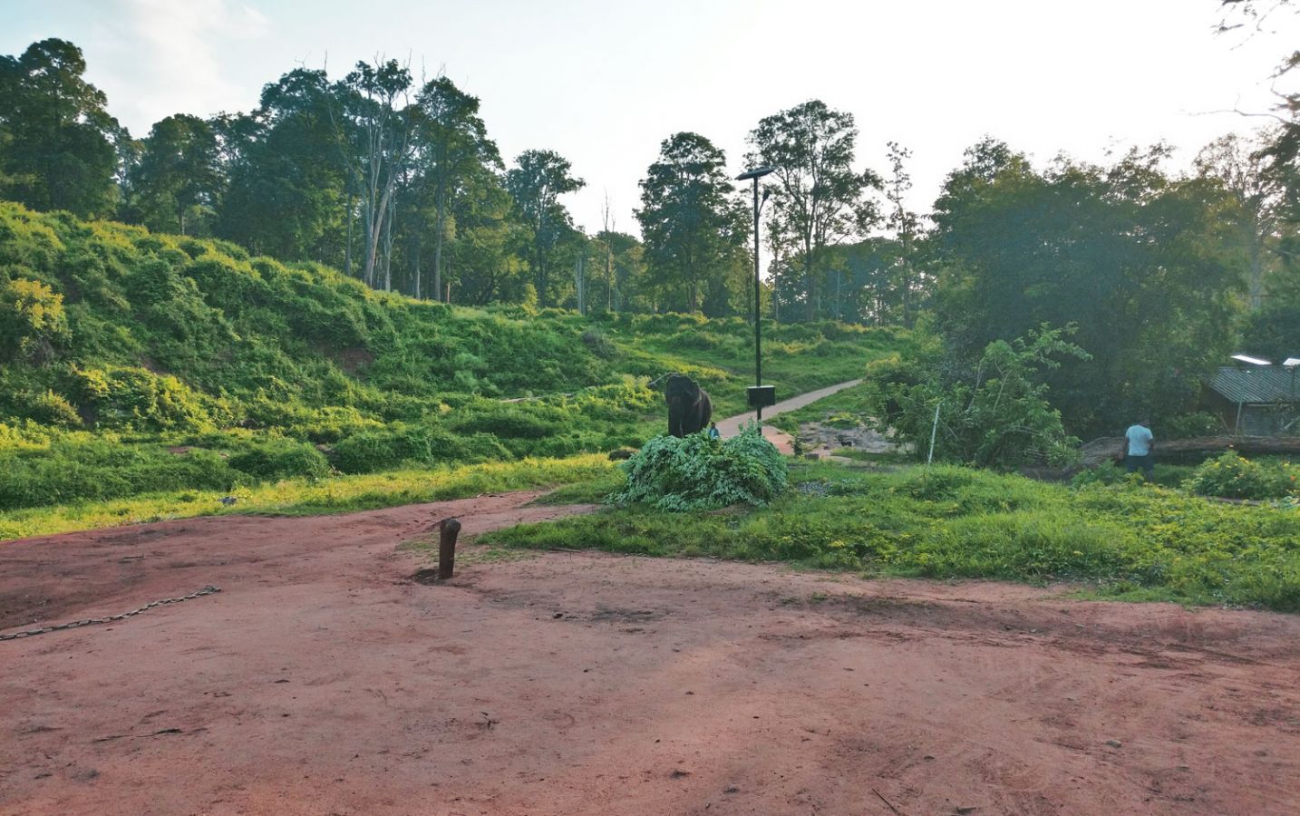 Aalliyar Reserve Forest Coimbatore