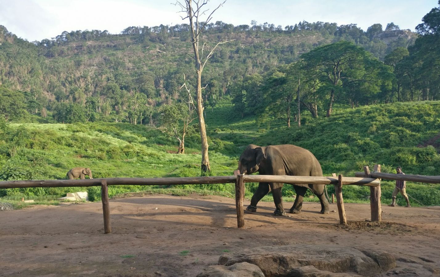 Aalliyar Reserve Forest Coimbatore