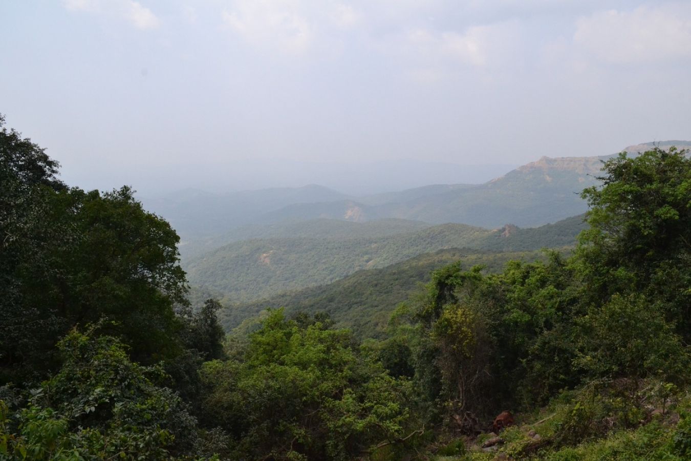 Amboli Ghat Waterfall Amboli