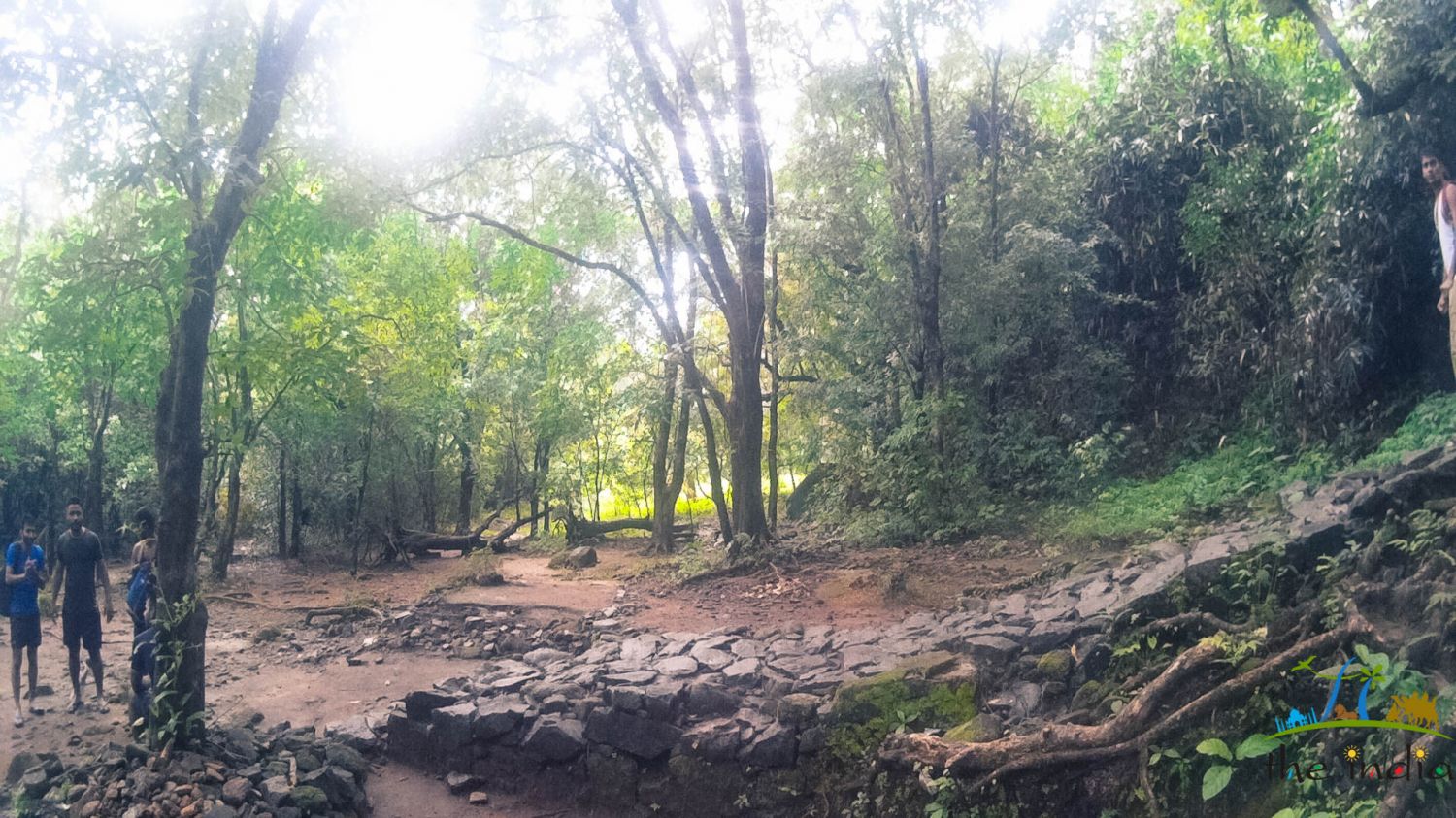 Athirappilly Water Falls Kochi