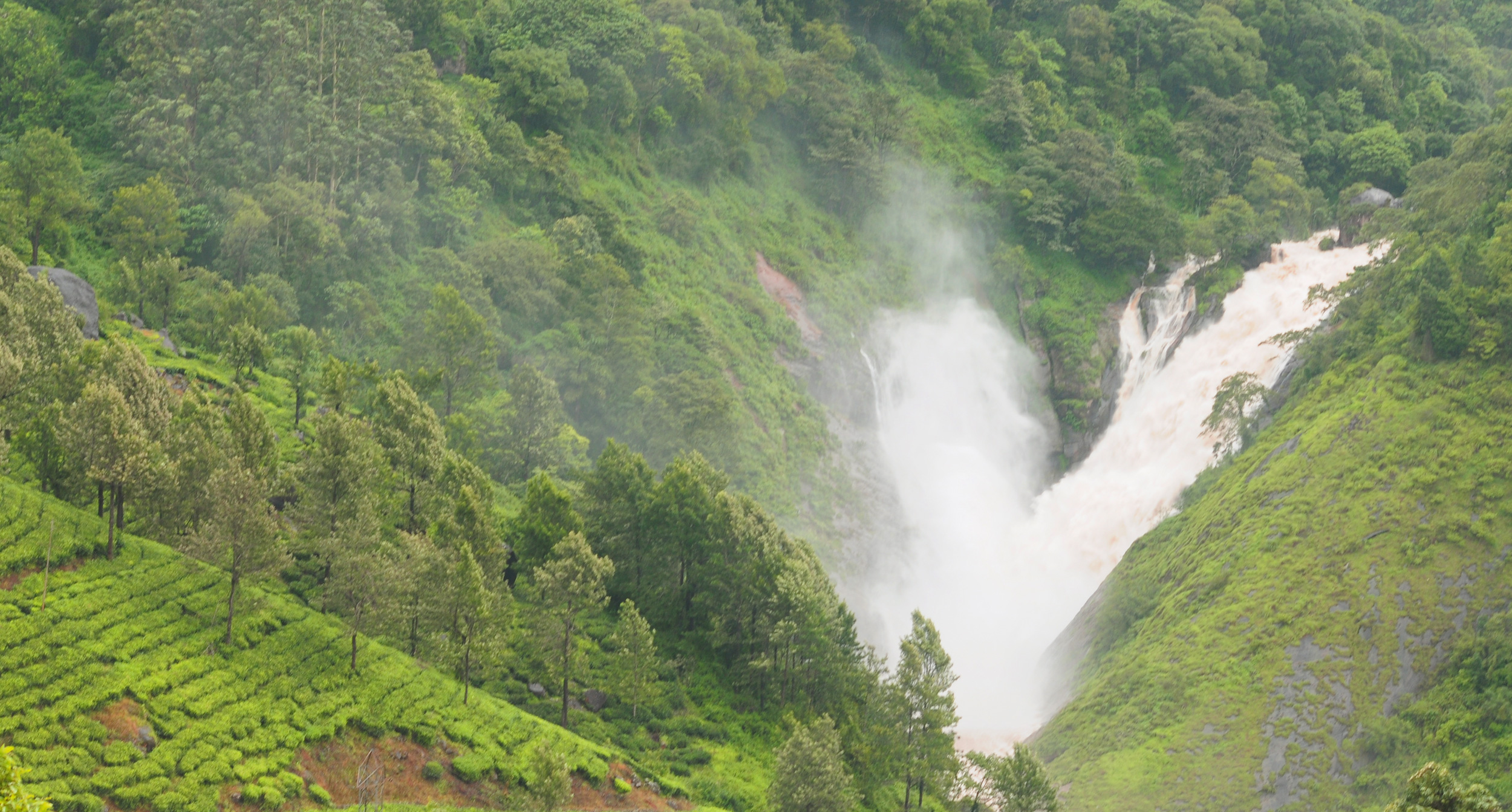 Munnar, Kerala, India