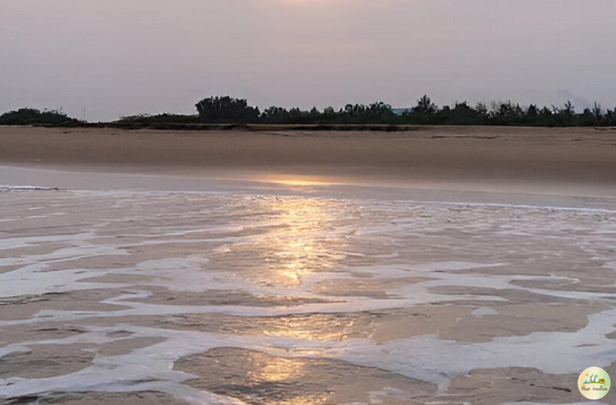 Auroville Beach
