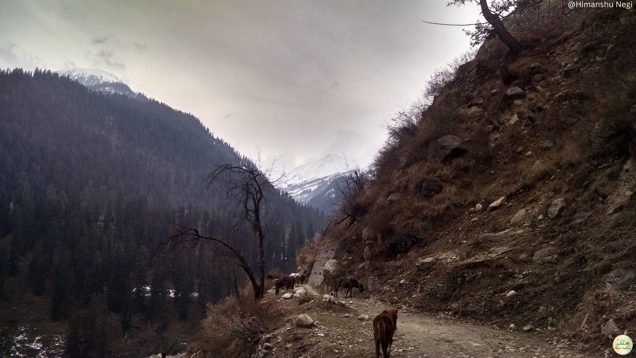 Kasol, Himachal Pradesh, India