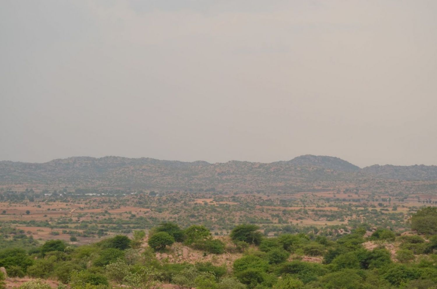 Daroji Sloth Bear Sanctuary