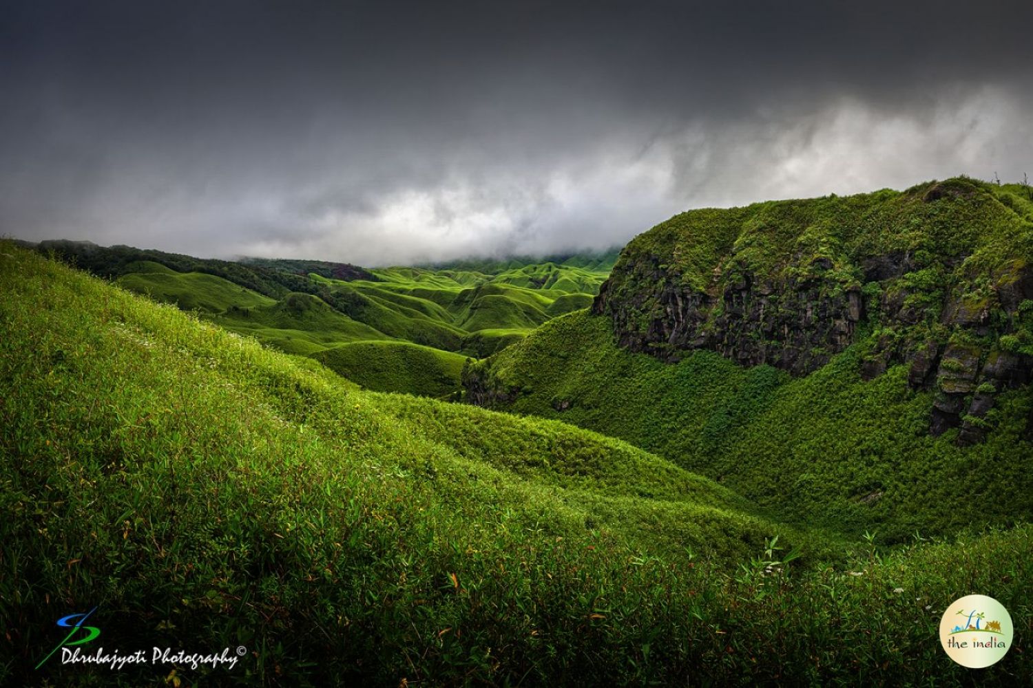 Dzukou Valley