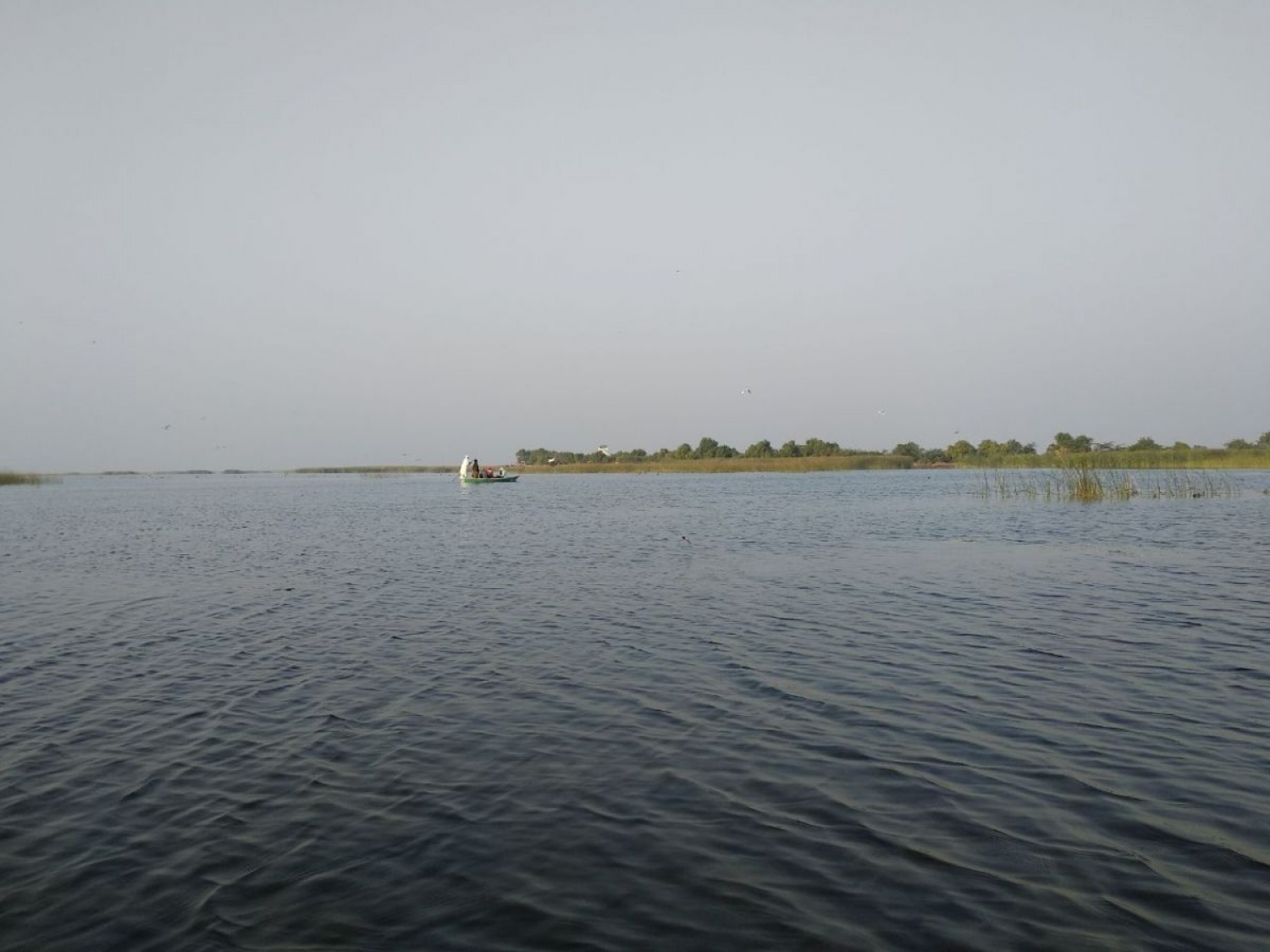 Nal Sarovar