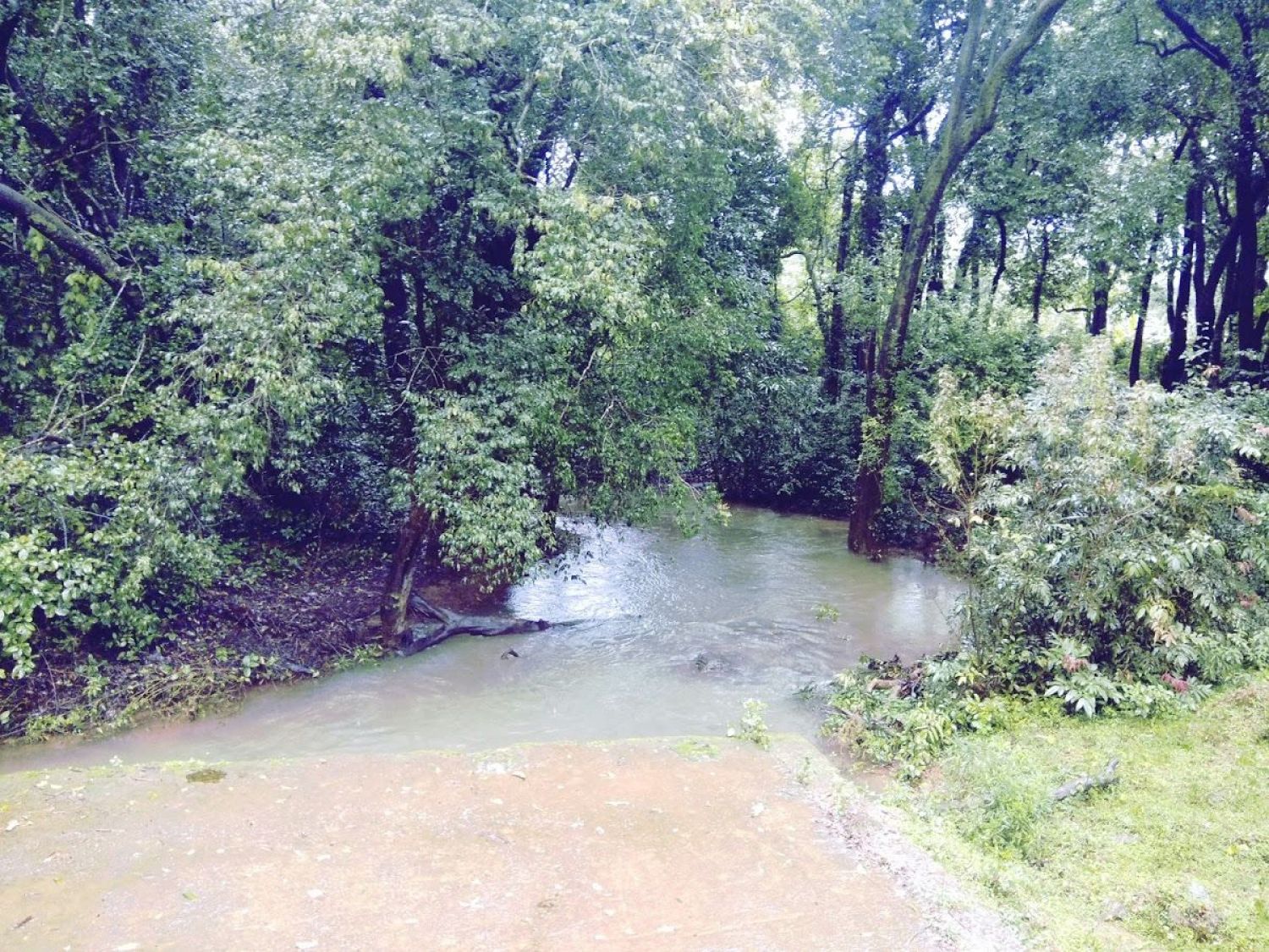 Kali Tiger Reserve