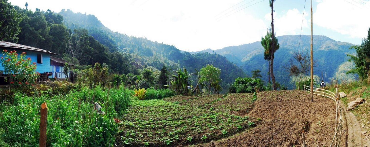 Neora Valley National Park