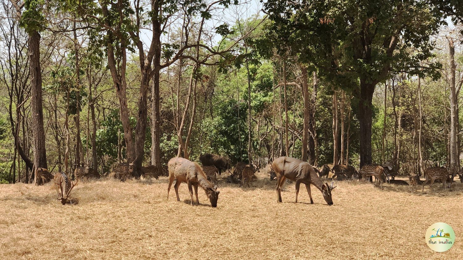 Satmaliya Deer Park, Silvassa