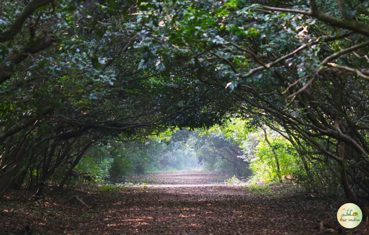 Bhitarkanika National Park