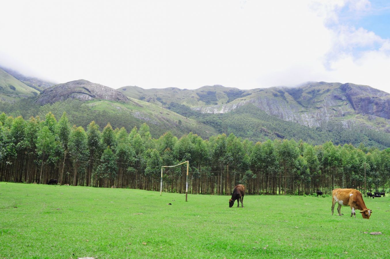 Silent Valley National Park (Kerala)