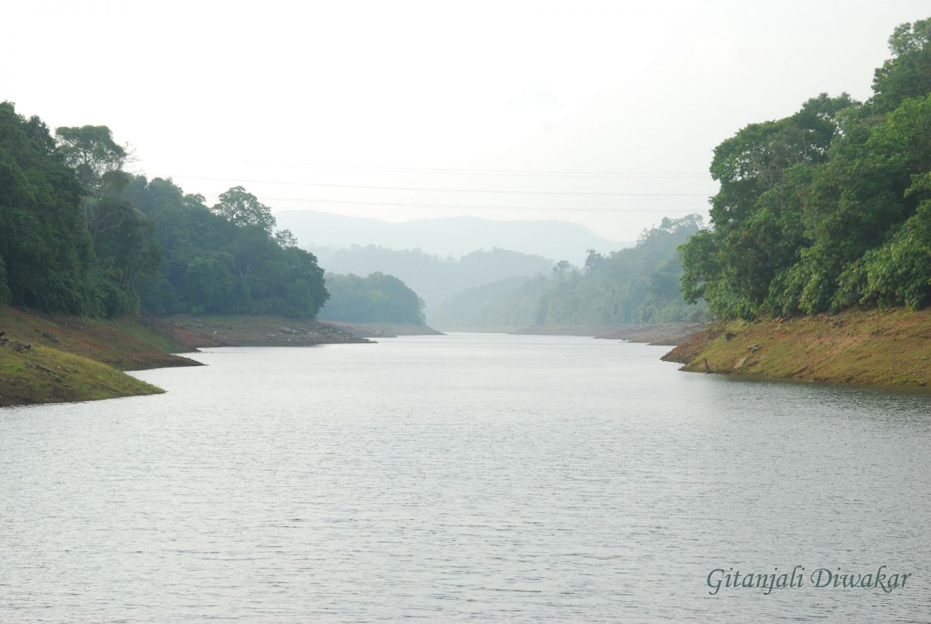 Athirappilly Water Falls Kochi