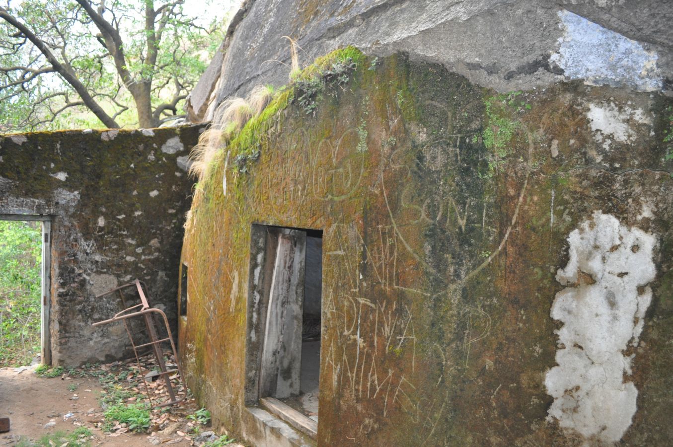 Toad Rock Mount Abu