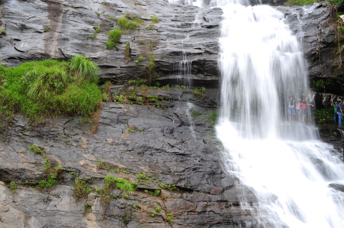 Cheeyappara Waterfall Munnar