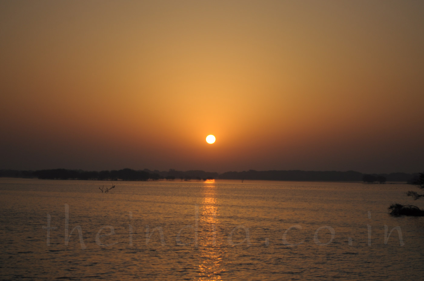 Thol Bird Sanctuary Ahmedabad