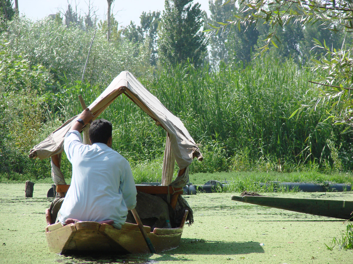 Dal Lake Srinagar