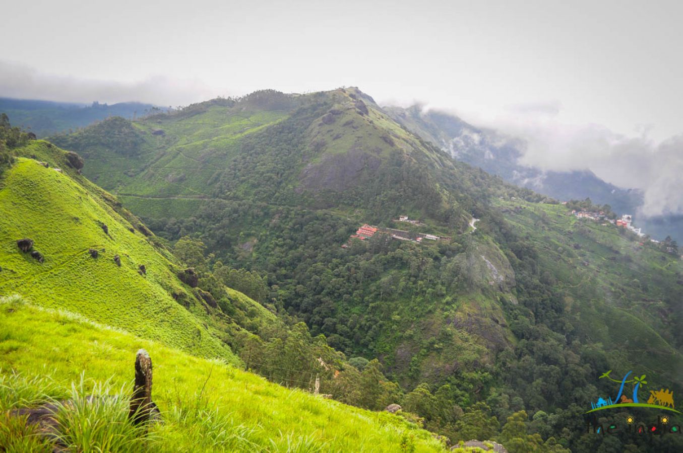 Grassland Munnar