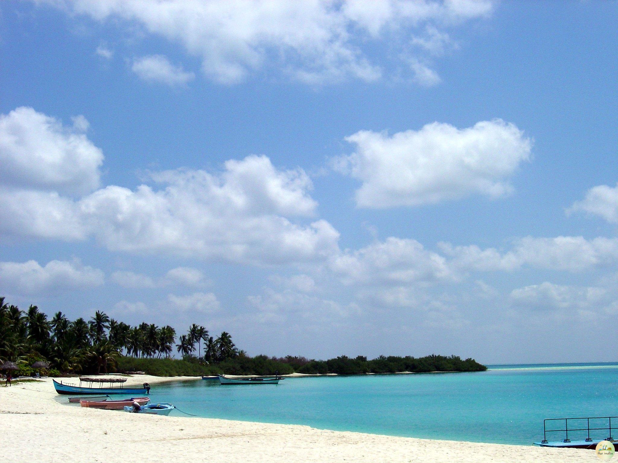 profile-banner