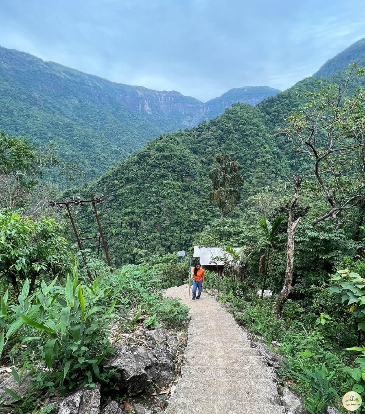 Double Decker Living Root Bridge Cherrapunji (Sohra)