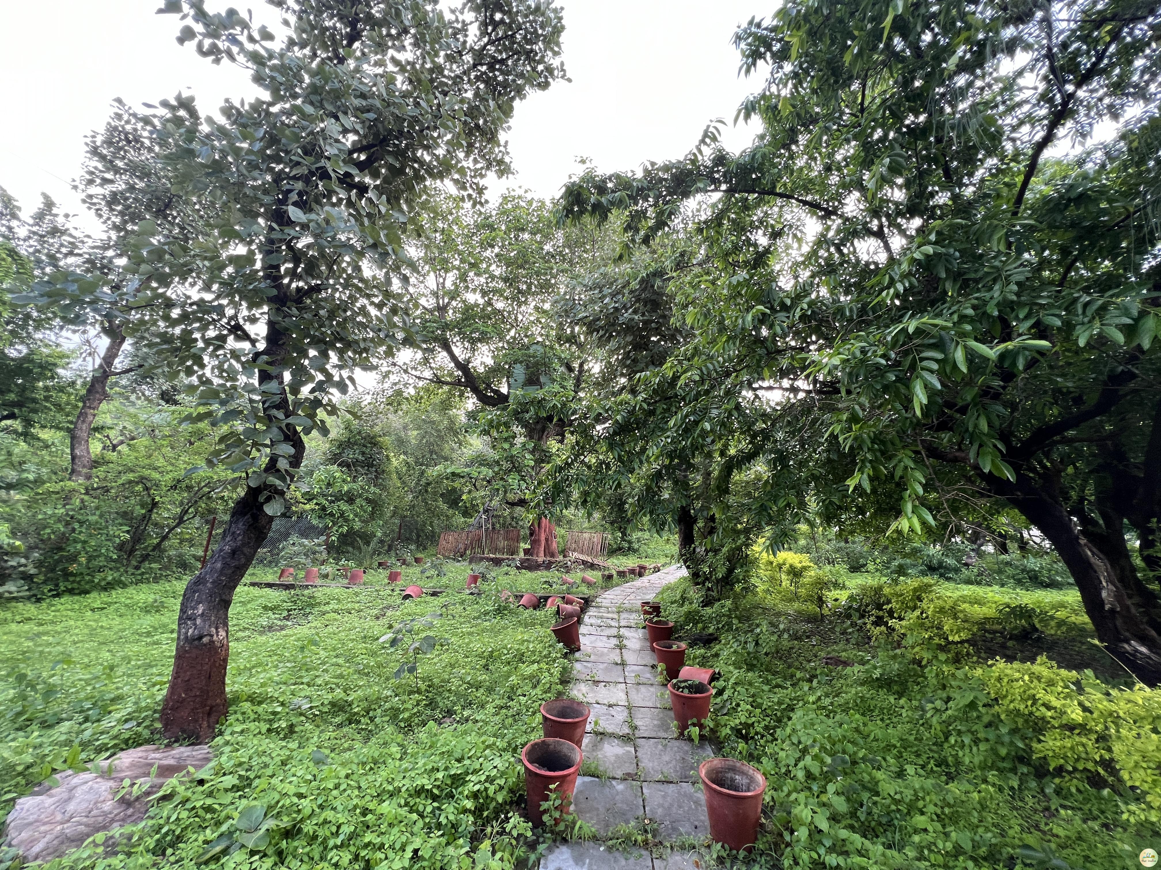 Forest Rest House Panarwa Udaipur