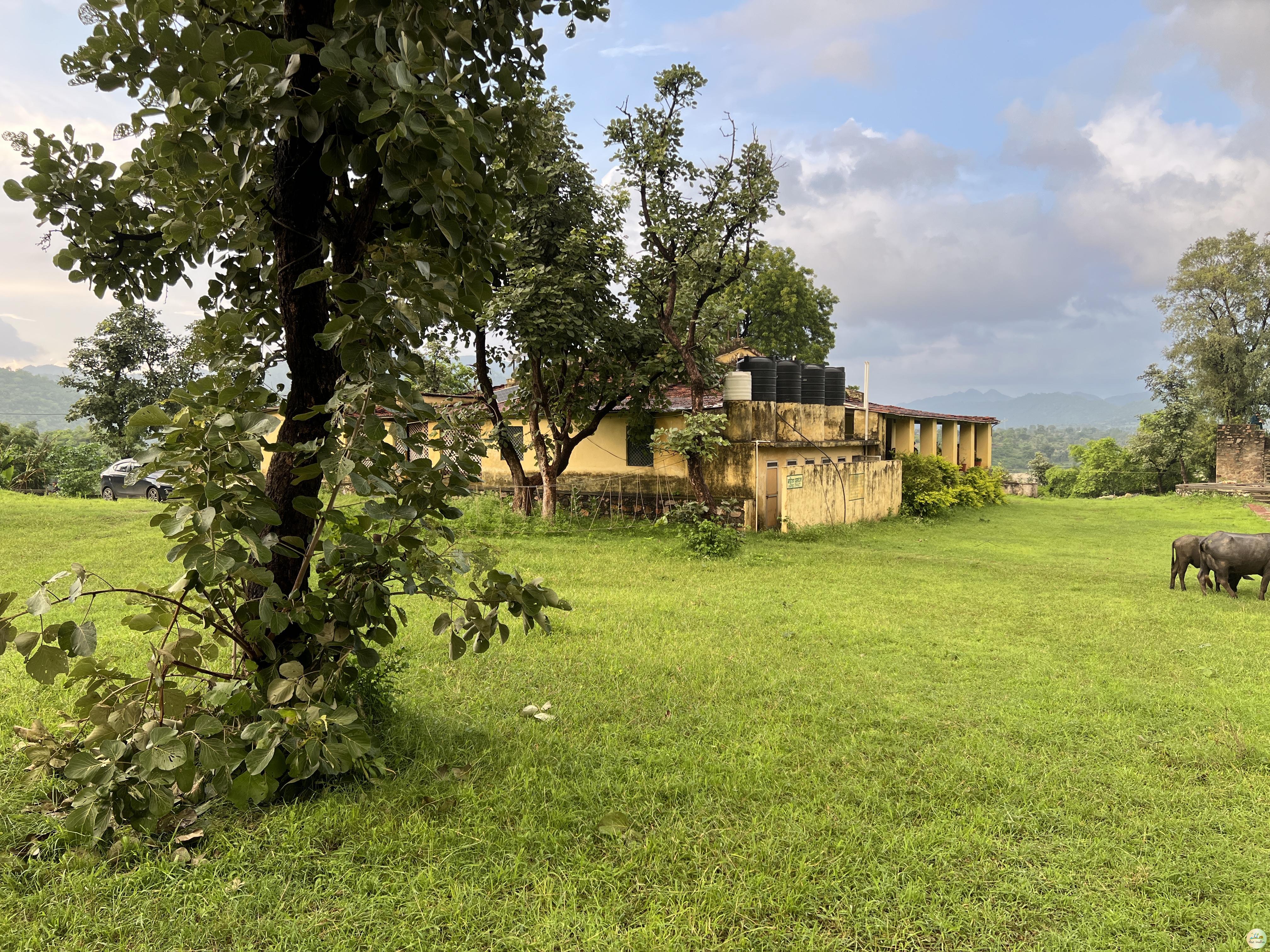 Forest Rest House Panarwa Udaipur