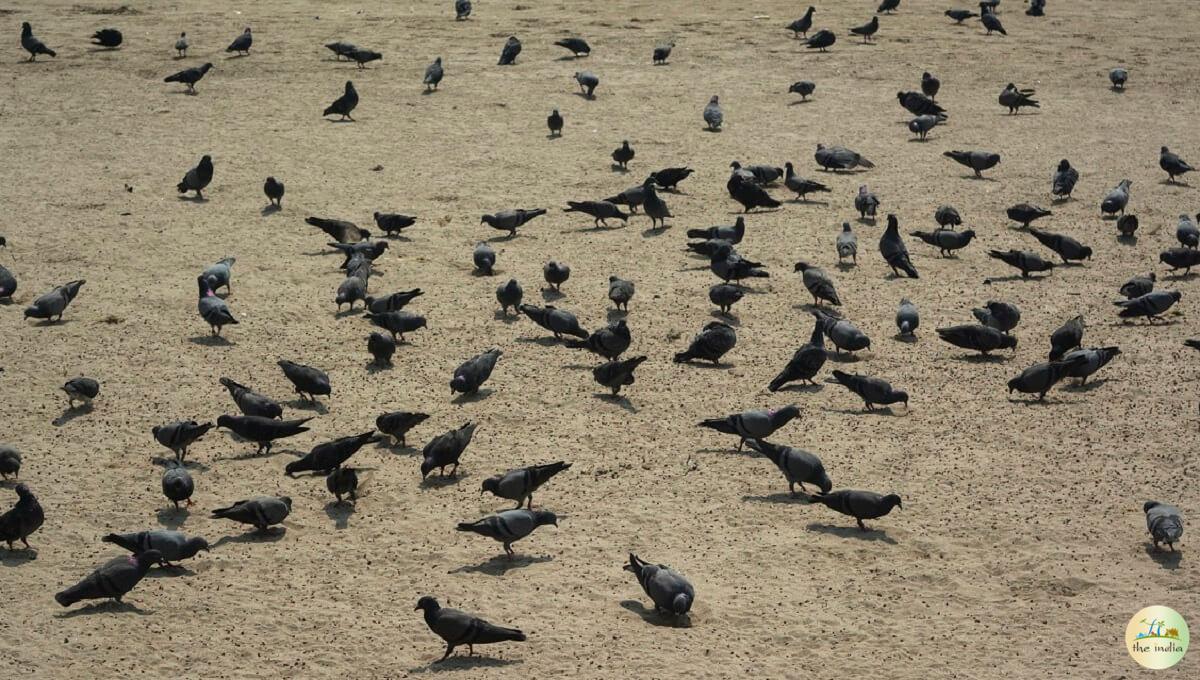 Girgaon Chowpatty Mumbai