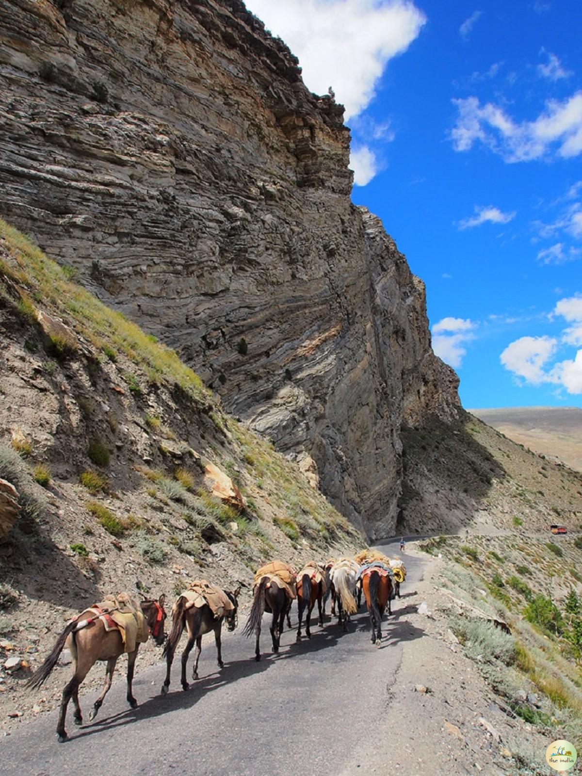 Gondhla Lahaul Spiti Valley
