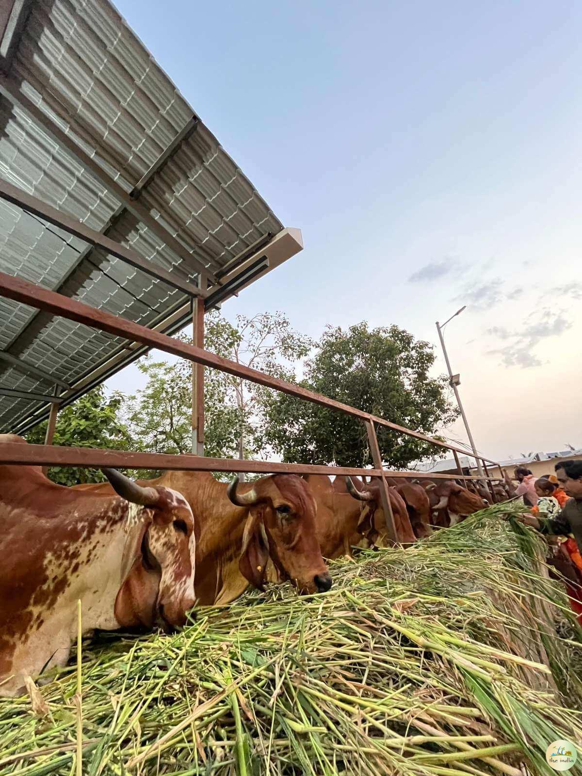 Hare Krishna Mandir Bhadaj Ahmedabad
