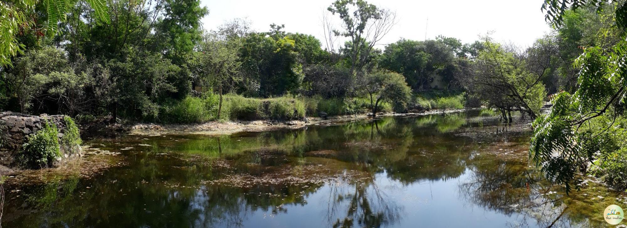 Hingolgadh Nature Education Sanctuary Vinchhiya