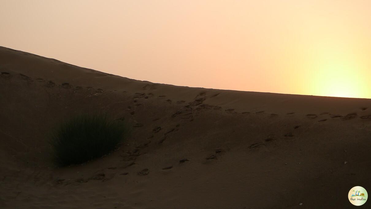 Jaisalmer Jaisalmer