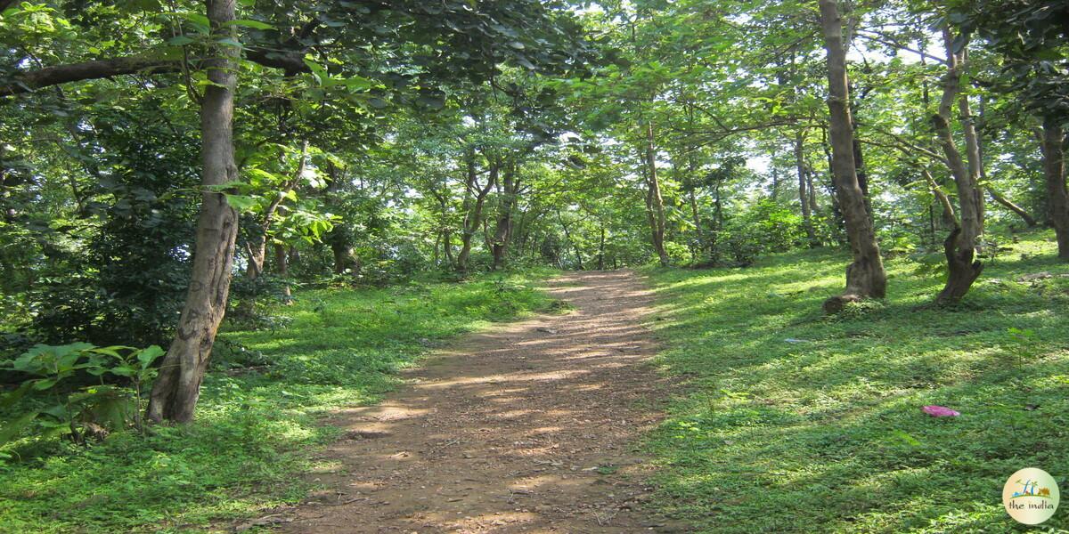 Jambughoda Wildlife Sanctuary Jambughoda