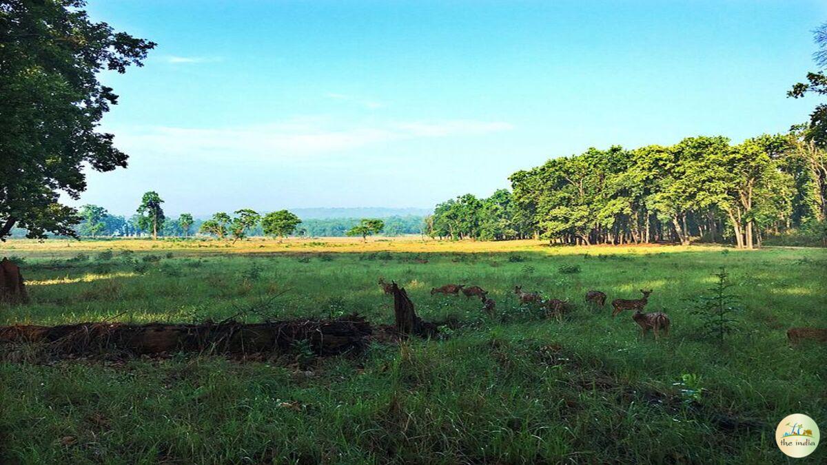 Kanha National Park Jabalpur