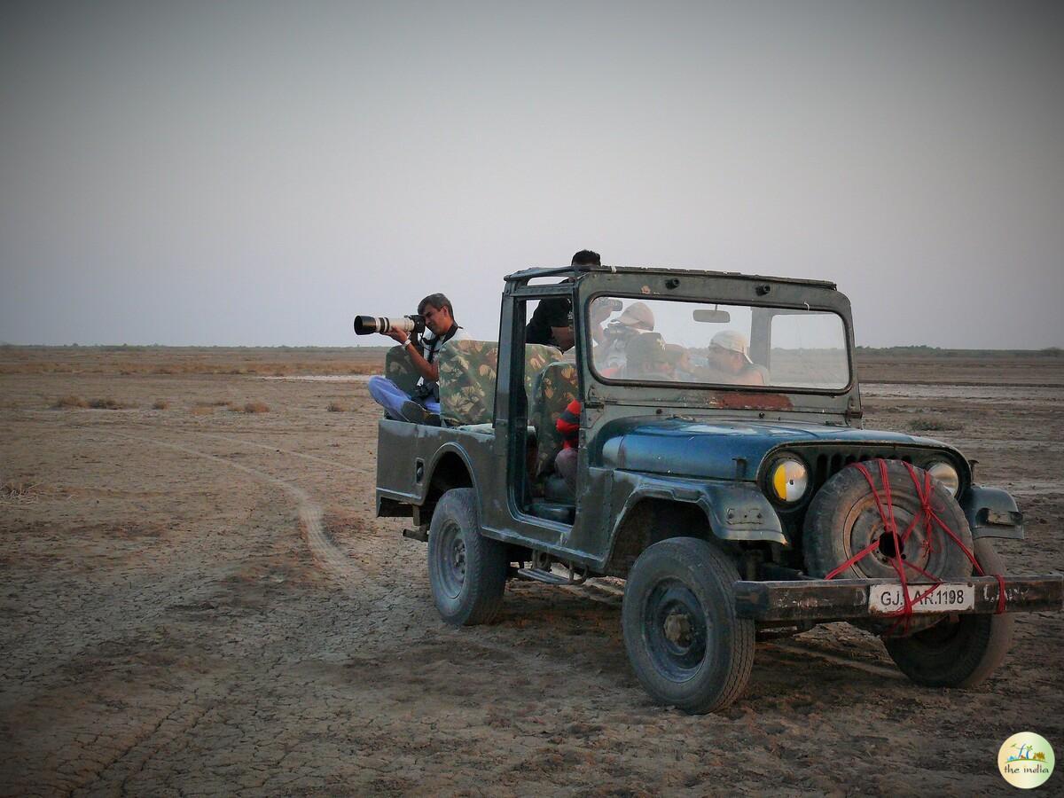 Little Rann of Kutch (LRK) Kutch