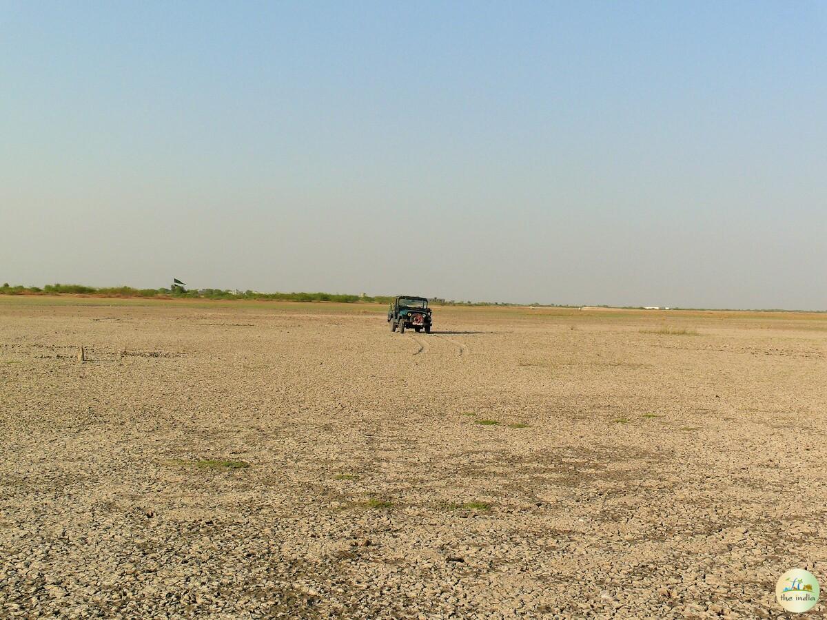 Little Rann of Kutch (LRK) Kutch