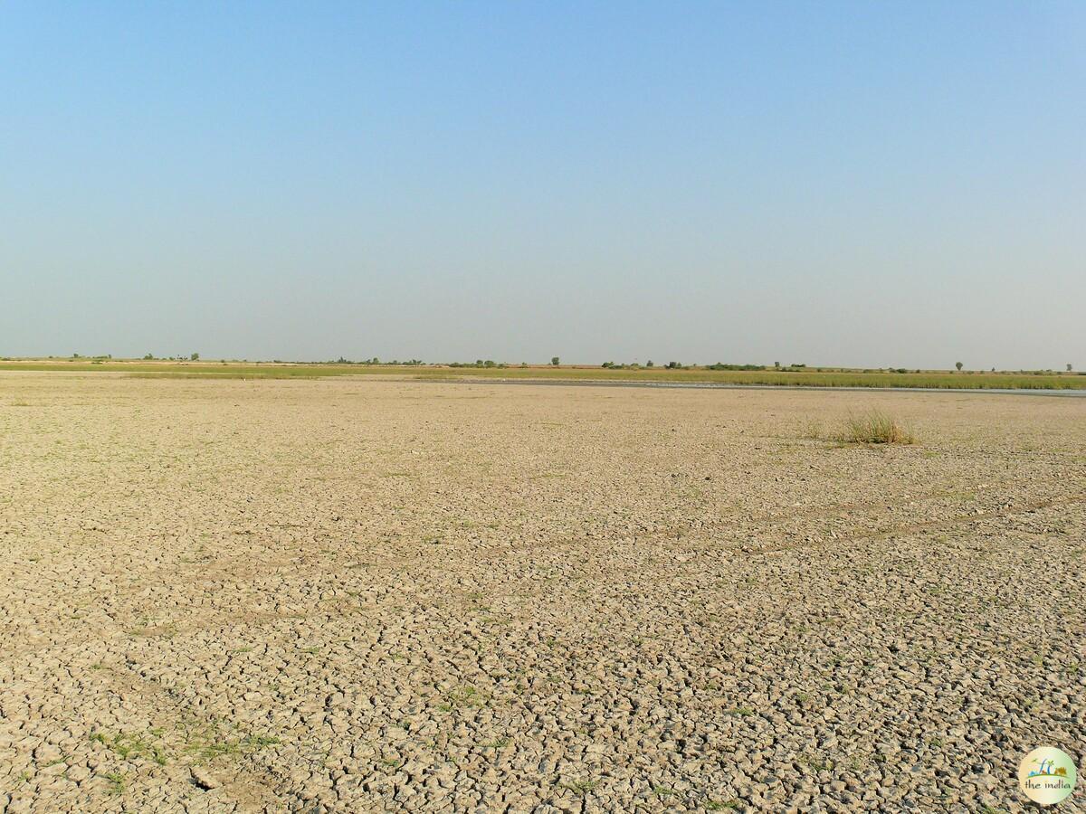 Little Rann of Kutch (LRK) Kutch