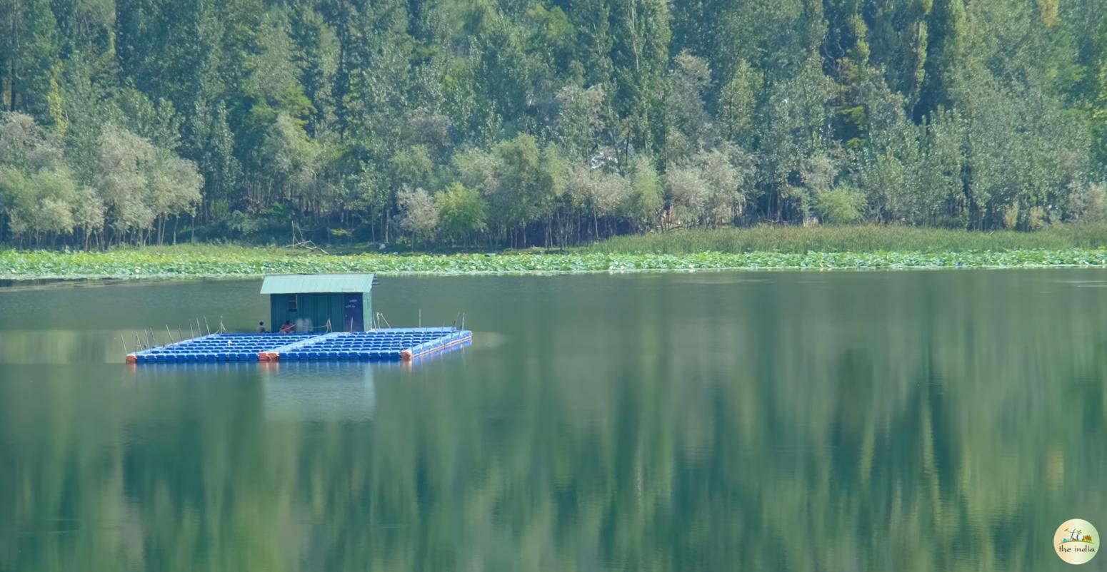 Manasbal lake Srinagar