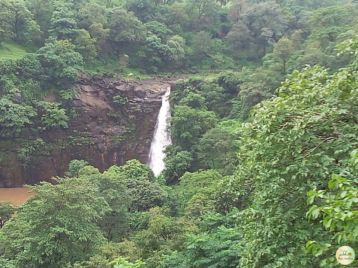 Ninai Waterfalls Statue of Unity