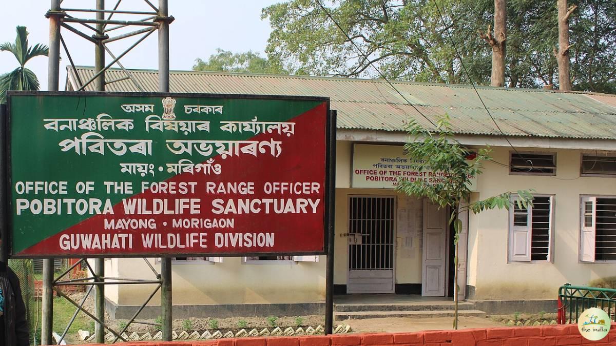 Pobitora Wildlife Sanctuary Guwahati