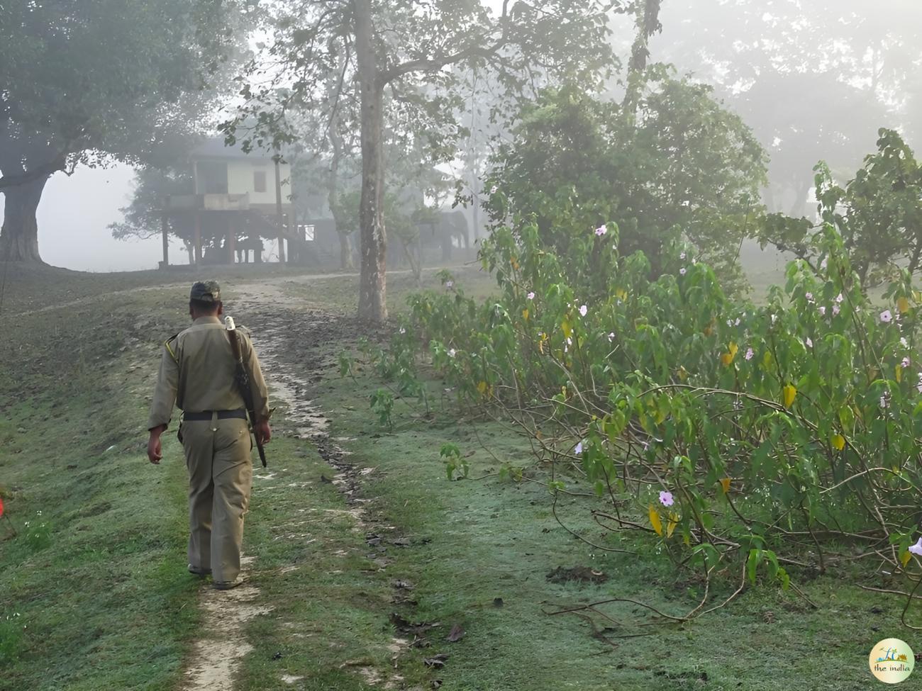 Pobitora Wildlife Sanctuary Guwahati