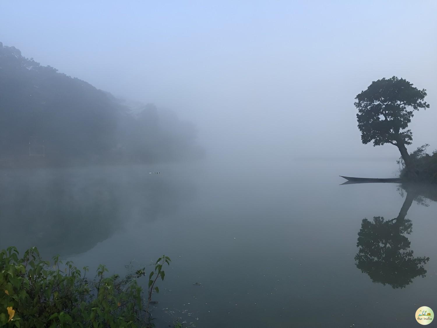 Pobitora Wildlife Sanctuary Guwahati